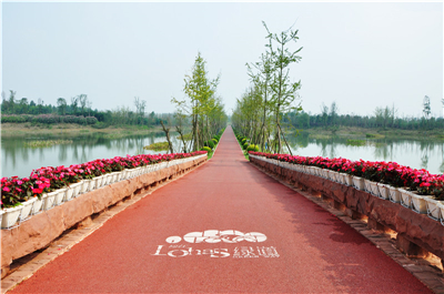 file0021.jpg