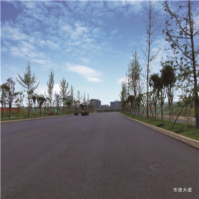 file0033.jpg