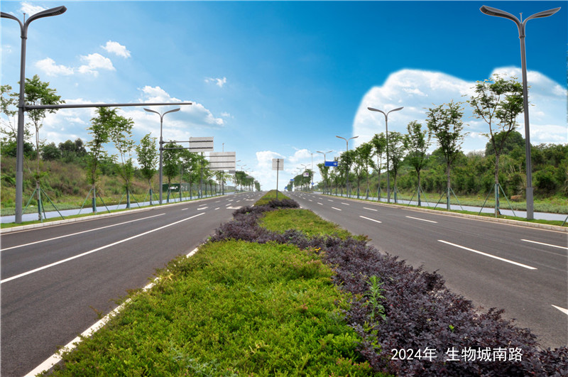生物城南路.jpg